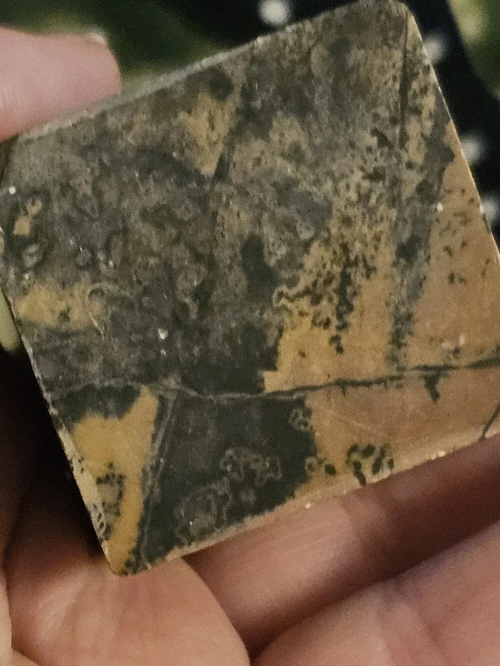 AAA-Grade Natural Picture Jasper Chunky Tower Dendritic Details Beautiful Decor